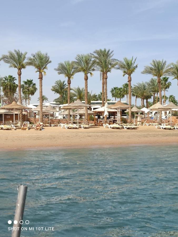 Seti Sharm Palm Beach Resort Families And Couples Only Εξωτερικό φωτογραφία