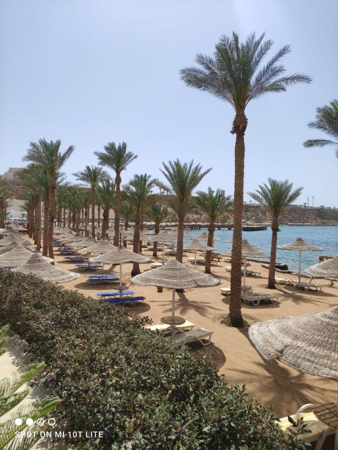 Seti Sharm Palm Beach Resort Families And Couples Only Εξωτερικό φωτογραφία